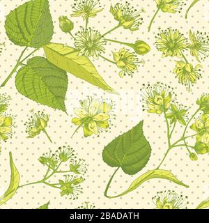 Linden blossom hand drawn seamless pattern with flower, lives and branch in yellow and green colors on light beige background. Retro vintage graphic Stock Vector