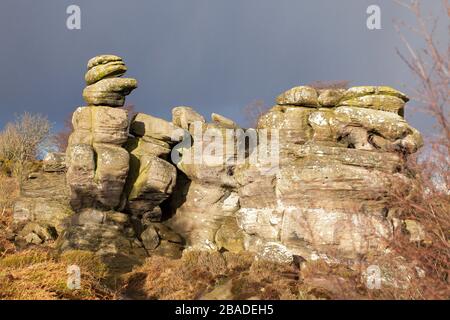 Eroded Millsone grit tors at Brimham Rocks in Nidderdale, North Yorkshire Stock Photo