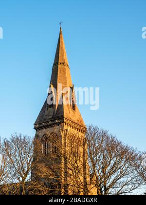 The broach spire of Holy Trinity Church above treetops lit by the setting sun in Knaresborough Yorkshire England Stock Photo