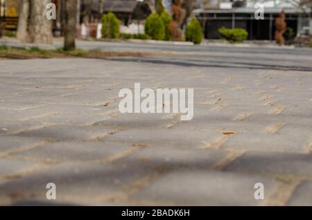 Bright spring sun in a big city. Empty street. Close up view from the sidewalk level. Without people. Stock Photo