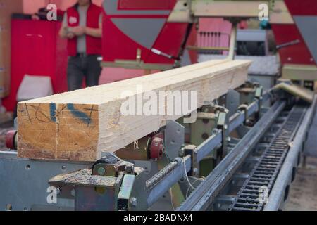 Sawmill. Process of machining logs in equipment sawmill machine saw saws the tree trunk on the plank boards. Wood sawdust work sawing timber wood wood Stock Photo