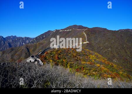 Great Wall of China at Mutianyu during fall with beautiful fall foliage Stock Photo