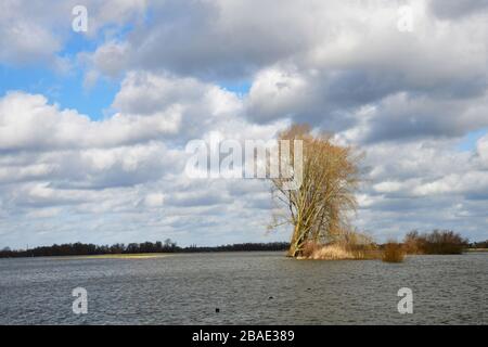 Broad view of flooded river wash lands of the River IJssel in the Netherlands with dramatic cloudy skies; trees sticking out of the water Stock Photo