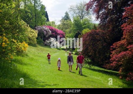 A family wandering through the brilliant spring colours of rhododendrons  and azaleas at Stourhead Gardens, Wiltshire, England, UK Stock Photo