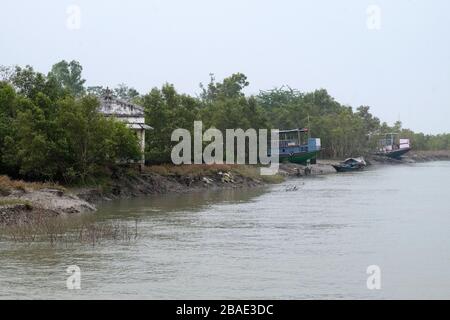 Boat on mud banks, Mangrove forest, Sundarbans, Ganges delta, West Bengal, India Stock Photo