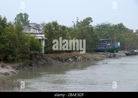 Boat on mud banks, Mangrove forest, Sundarbans, Ganges delta, West Bengal, India Stock Photo