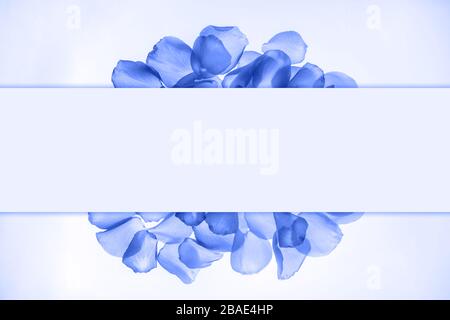 Pile of blue rose petals on white background with peace of paper on it, top view. Free copy space Stock Photo