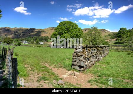 Old English drystone wall with integrated steps with fields, trees and hills in th background. Stock Photo