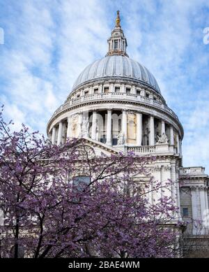 St Pauls cathedral dome London,UK Stock Photo