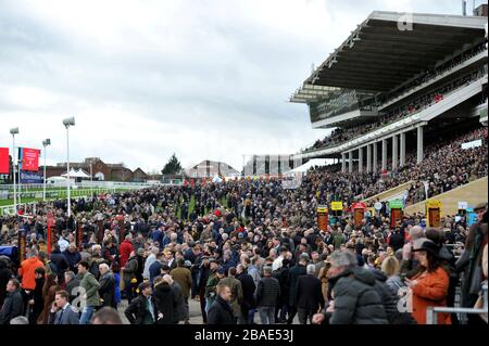 Crowds gather at Cheltenham Racecourse for the 2020 Festival of racing, one of the last big public gatherings under the cloud of coronavirus covid-19 Stock Photo