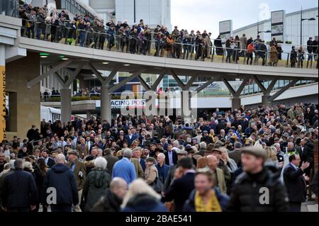 Crowds gather at Cheltenham Racecourse for the 2020 Festival of racing, one of the last big public gatherings under the cloud of coronavirus covid-19 Stock Photo