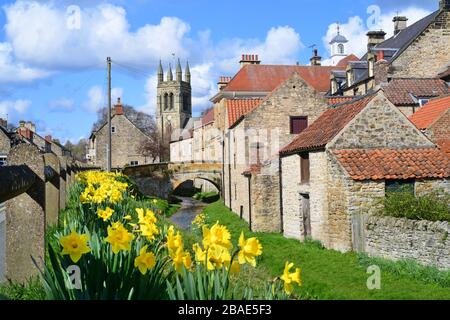 river Rye flowing by springtime daffodils at Helmsley North Yorkshire Moors UK Stock Photo