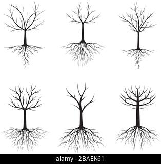 Set of Black Trees with Roots. Vector Illustration. Collection of icons. Stock Vector