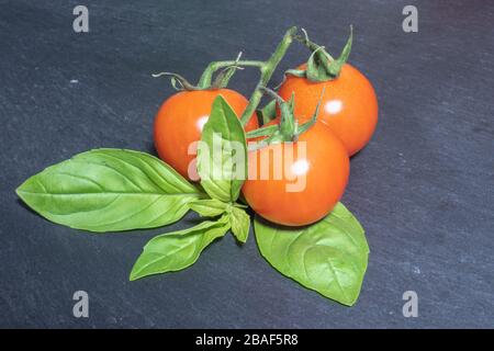 Cherry tomatoes and basil leaves on black background Stock Photo