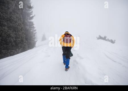 Tourist in yellow jacket with backpack and frozen tree at winter mountain scenery at foggy day