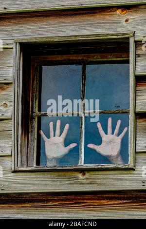 Vertical shot of a four paned window in a wooden wall with a woman's hands pressed against two of the panea as if trying to escape. Stock Photo