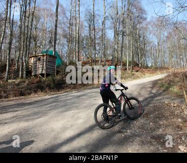 Young woman stopped on mountain bike trail Stock Photo