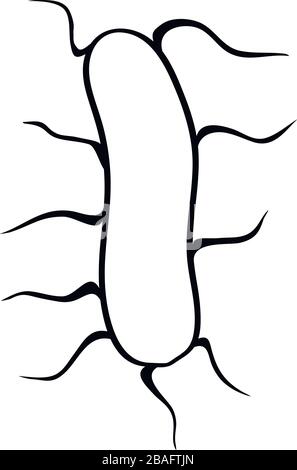 Salmonella icon. Trendy flat vector Salmonella icon on white background Stock Vector