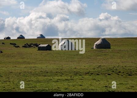 Traditional Kyrgyz yurts and gazing horses on steppe near Songkol lake. Kyrgyzstan. Stock Photo