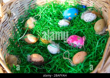 Color Easter eggs in the straw basket with green grass inside in sunny spring day. Stock Photo