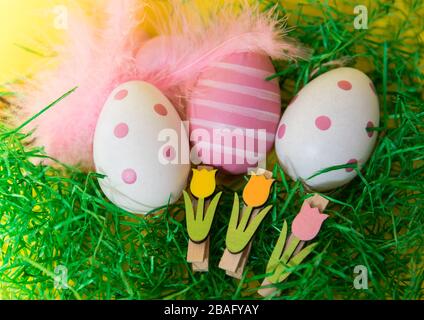Multi-colored Easter eggs with feathers with green grass on a yellow background. Stock Photo