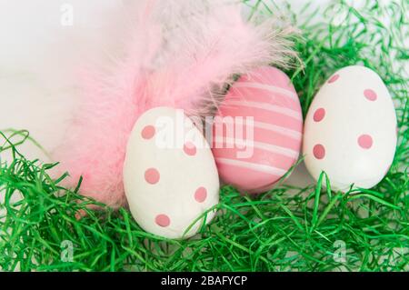 Pink Easter eggs and feathers with green grass on a white background. Stock Photo