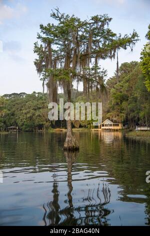 Along the Rainbow River in Dunnellon, Florida. Marion County, FL. A scenic spring fed river and popular travel destination. Stock Photo