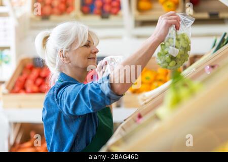 Senior woman working in small grocery store Stock Photo