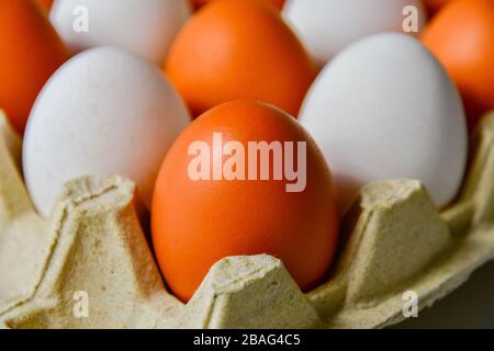 White and brown chicken eggs in an egg box close-up Stock Photo