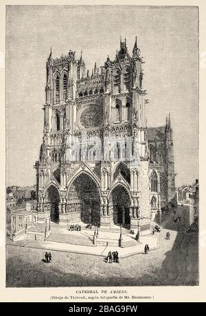 General panoramic view of the cathedral Notre-Dame of Amiens, Picardie. France Europe. Old 19th century engraved illustration image from the book New Stock Photo