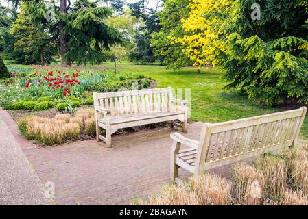 Two empty old wooden benches facing each other in a public park on a spring day Stock Photo