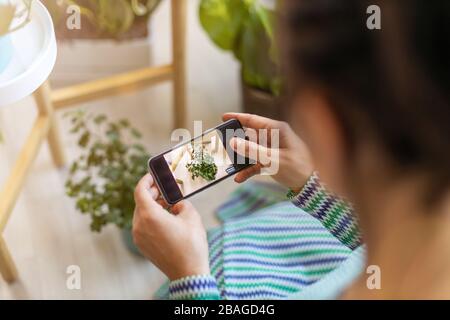 Young woman taking care of her potted plants at home Stock Photo