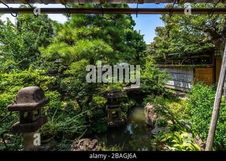 The beautiful inner garden of  Nomura Samurai house (Nomura-ke) one of the best preserved historical building in Kanazawa's Nagamachi district Stock Photo