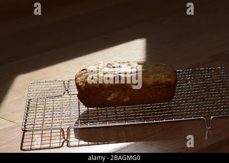 Photograph of freshly baked, homemade bread on a cooling rack. Quick bread. Banana bread with chocolate chips. Stock Photo