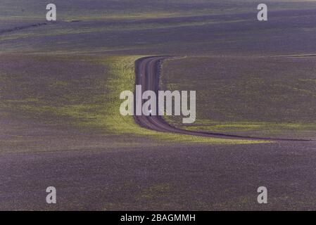 Woman standing in the middle of nowhere on dirt road in highlands Stock Photo
