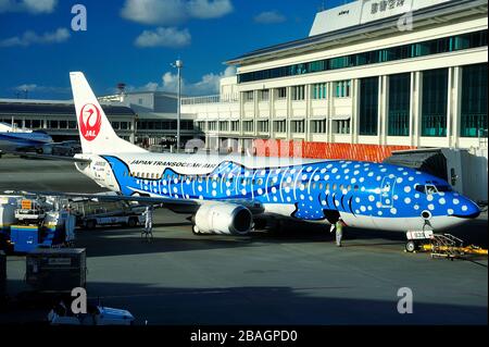 Blue Whaleshark, Boeing B-737/400, JA8939, Japan Transocean Airline, JTA, Naha Airport, Okinawa, Ryukyu Islands, Japan