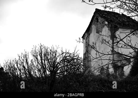 Abandoned and dilapidated house among trees in black and white Stock Photo