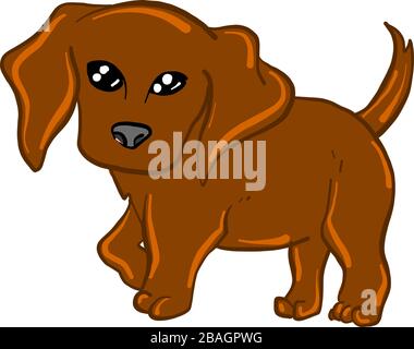 Chestnut dog, illustration, vector on white background Stock Vector