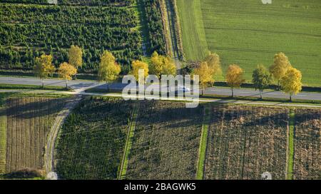 , Country road at Enste district of Meschede, 26.10.2013, aerial view, Germany, North Rhine-Westphalia, Sauerland, Meschede Stock Photo