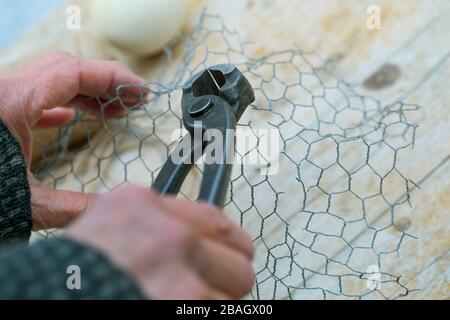 making a holder for fat balls, series picture 3/6, Germany Stock Photo