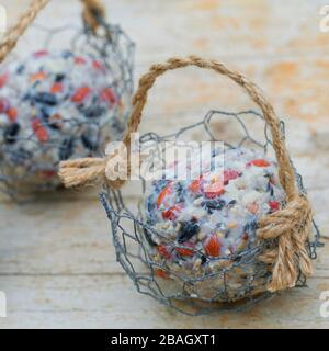 making a holder for fat balls, series picture 6/6, Germany Stock Photo