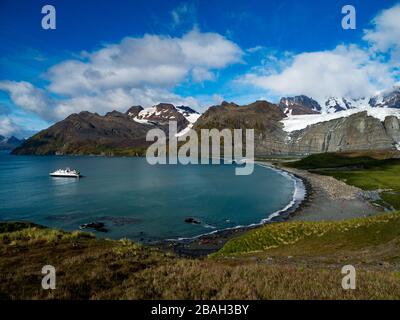 Stunning views over Gold Harbor, South Georgia Island with a large king penguin colony Stock Photo