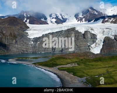 Stunning views over Gold Harbor, South Georgia Island with a large king penguin colony Stock Photo