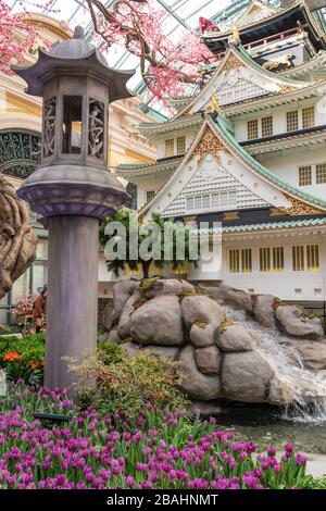 The indoor Conservatory & Botanical Gardens at the Bellagio Hotel and Casino complex along The Strip in Las Vegas, Nevada, USA. Stock Photo