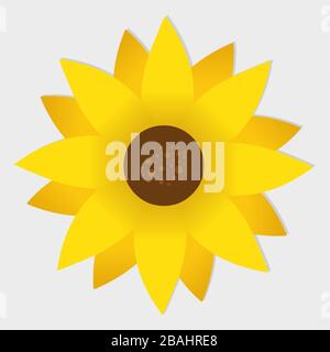sunflower icon isolated vector illustration decoration Stock Vector