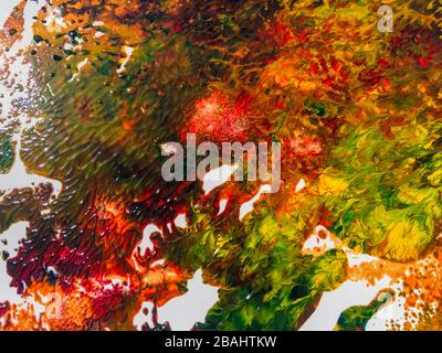 Abstract colorful background. hand draw  Oil painted on paper. thick surface of strokes Stock Photo