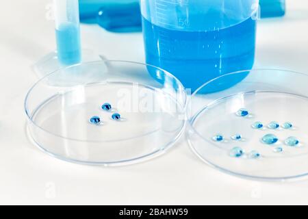 Close up of a blue liquid solution droplets in petri dishes with shallow depth of field Stock Photo