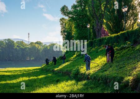 group of people scything the grass on a hump. lawn mowing in an old-school way on a sunny morning in springtime. location kyiv embankment in uzhgorod Stock Photo