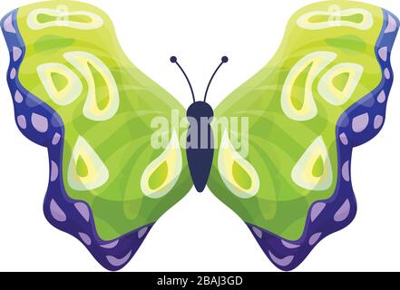Fly butterfly icon. Cartoon of fly butterfly vector icon for web design isolated on white background Stock Vector