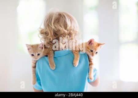 Child holding baby cat. Kids and pets. Little boy hugging cute little kitten at home. Domestic animal in family with kids. Children with pet animals. Stock Photo